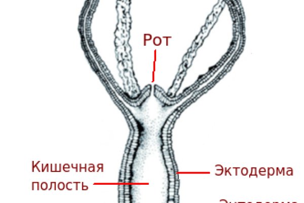 Блекспрут зеркало bs2webes net