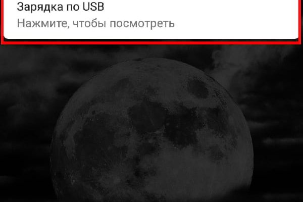 Black sprut что это bs2web top