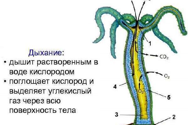 Блэкспрут сайт даркнет ссылка